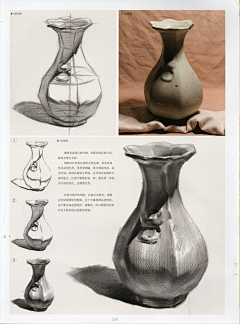 Wang_鲫鱼采集到素描静物