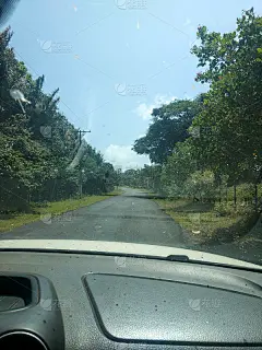 Marajó岛内部，位于巴西Pará州。