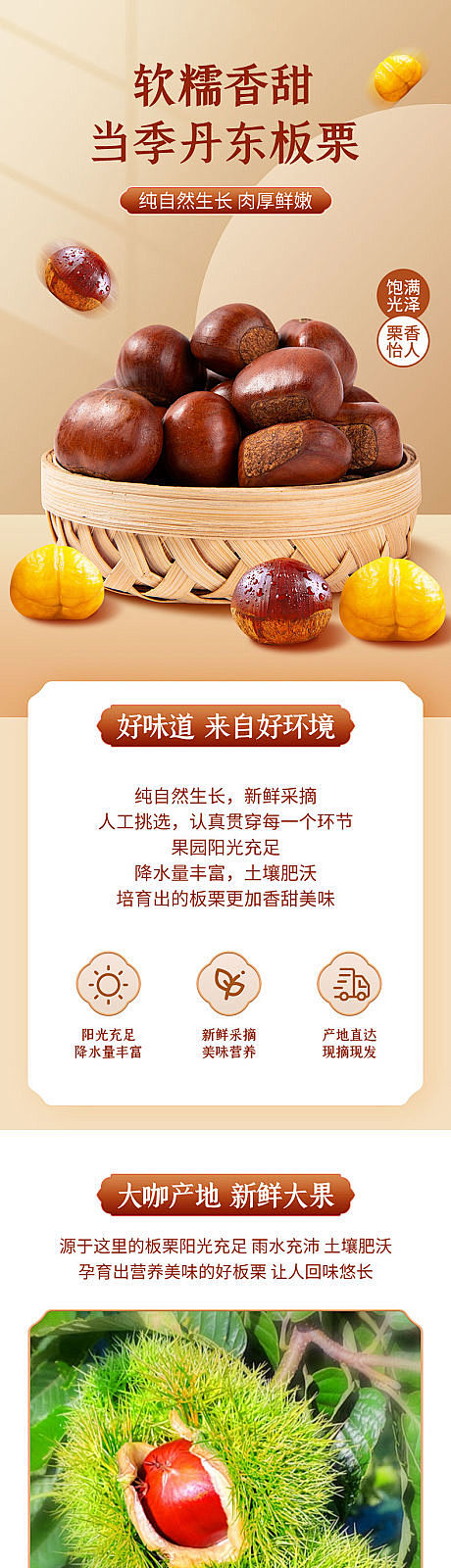 当季板栗详情页-源文件分享-ywjfx....