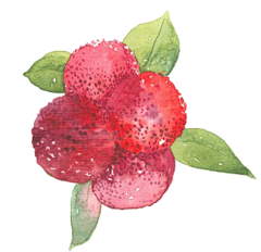 hanawhy采集到24节气