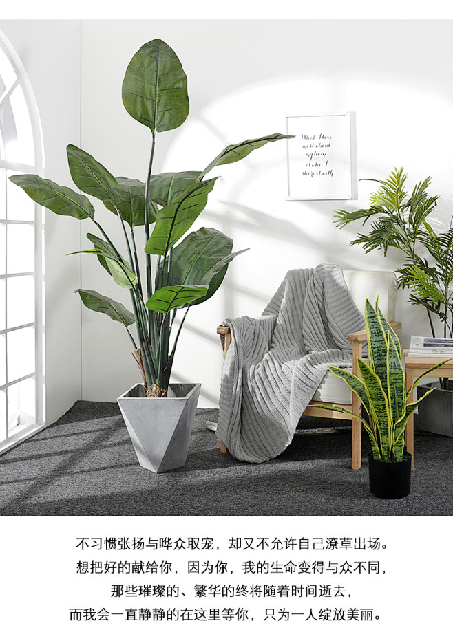 大型落地北欧仿真植物装饰龟背竹绿植盆栽室...