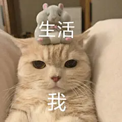 可爱猫咪表情包 cr. 橘猫沙梨Sally - 堆糖