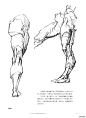 伯里曼人体结构绘画 (287).jpg
