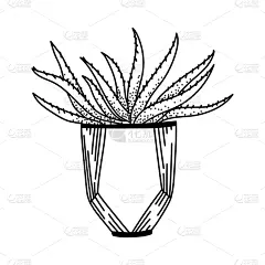 植物群,锅,墨水,动物手,住房,华丽的,花盆,春天,绘制,花