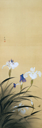 Iris Laevigata / 燕子花, ca 1935, Kobayashi Kokei / 小林古径. Japanese (1883 - 1957): 