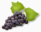 Royalty-free Image: Concord Grapes on white background