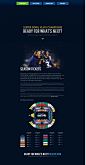 Seahawks 2014 - Season Ticket Renewal
