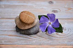 三颗禅宗石，木质背景，紫色花朵