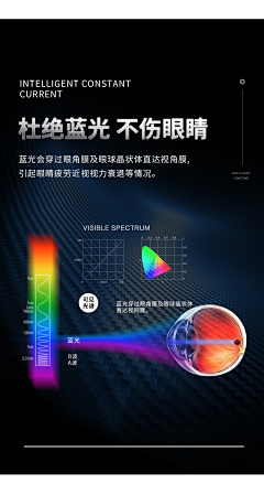 ZPT6YdwO采集到隐形车衣