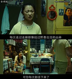 致青春,郑薇,杨子珊,辛夷坞台词图片壁纸