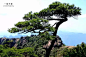 三清山：我心中的道教名山，国家地理眼中的峰林_旅游_第一热点-Diyiredian.com