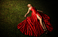 Model, People, Red Dress, Women wallpaper preview