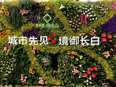 linxiaoting采集到植物场景