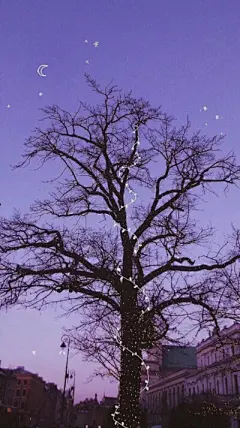 壁纸 - 堆糖，美图壁纸兴趣社区