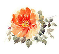 (32) 花瓣