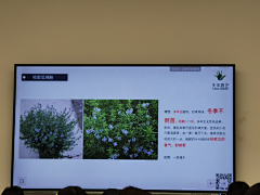 o萌萌o采集到冬季植物