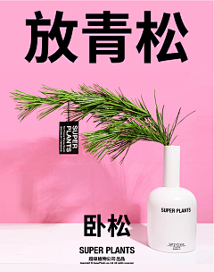 Samuel豪采集到植物