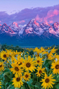 Grand Tetons National Park, Wyoming and yes they looked exactly like that :): 