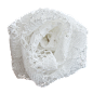欧式哥特红装饰蕾丝花卉蝴蝶结图案字母 影楼手账背景 (73)