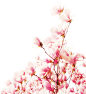 素材(9)