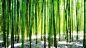 e0d141366ae71f048cb03a91ab5abdc5 (2000×1126)