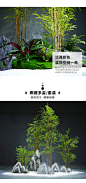 现代中式仿真竹子落地植物造景室内大型绿植软装花艺景观橱窗装饰-tmall.com天猫