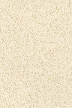 楚江秋采集到古风底纹图