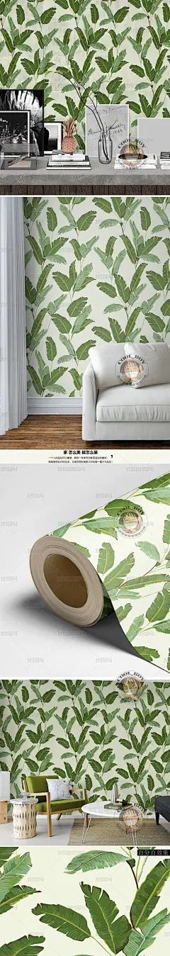绿色清新自然地中海手绘绿色芭蕉叶欧式墙纸