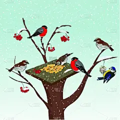 鸟类,冬天,冷,喂鸟器,可爱的,食品,霜,雪,浆果,背景