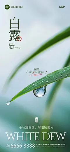 白露节气祝福实景感全屏竖版海报AIGC