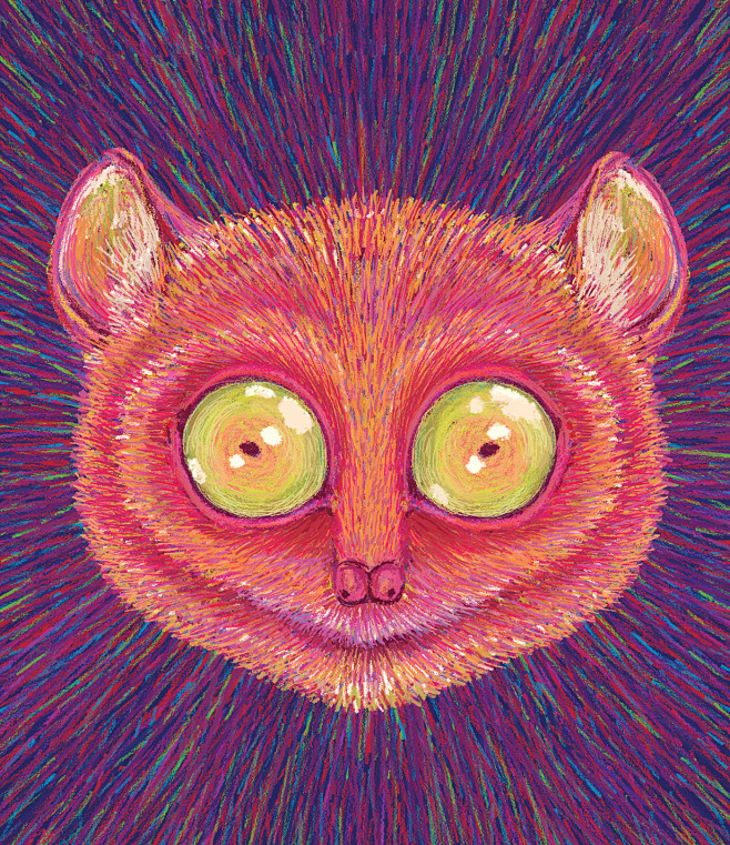 wildlife Digital Art...