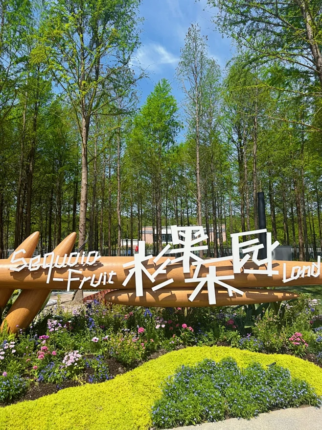 前滩公园巷边的「杉果乐园」围挡拆咯 - 小红书-花瓣网