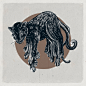 Marion Kamper | Handcrafted Illustration, Art, Prints & Murals - Floating Panther : Commercial Illustrator and printmaker, working closely with design studios and agencies. Handcrafted & intricate, nature inspired Illustration | Printmaking | Mura