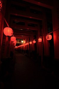 灯笼最热图片分享_灯笼最受糖友青睐_堆糖...