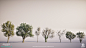 Assassin's Creed Valhalla - Trees, Adrien Paguet-Brunella : Here are some trees and hero trees I made for Assassin’s Creed Valhalla. 
I was responsible for the creation of the vegetation assets and kits alongside my friend and colleague Joel Pelletant. I 