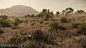 Star Citizen - Vegetation - Planet Hurston, Özlem Sagbili : I was mainly responsible for creating vegetation and procedural object distribution for Star Citizen over the last 2 years. 
The assets can be found on one of our planets called "Hurston&