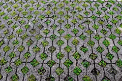 人行道地面上的混凝土块与地面砖上插入的小草，为艺术作品的纹理创造了美丽的背景和壁纸。这片土地可以减少