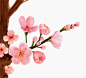 樱花,绘画插图,水彩画颜料,无人,花_gic11217972_a branch with pink flowers_创意图片_Getty Images China