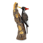 啄木鸟PNG
