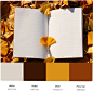 100张秋季配色模板插画，为你打包秋日灵感 : 秋高气爽，生活可爱。