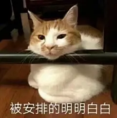 猫咪表情包
被安排的明明白白