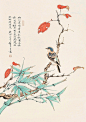 我的首页 微博-随时随地发现新鲜事