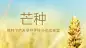 芒种节气祝福麦穗横版海报