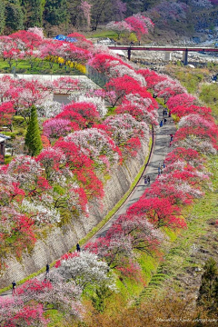 🌸沙沙沙🌸采集到Landscape|公园/景区