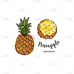 水果,绘画插图,菠萝,矢量,白色背景,插画,水彩画,素食,贺卡,水彩画颜料