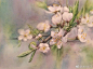 色粉 花卉  一起涂鸦吧 午好 by:irinartamonova 
#插画##每天画唠##手绘##艺术范##午后时光##水彩学习#