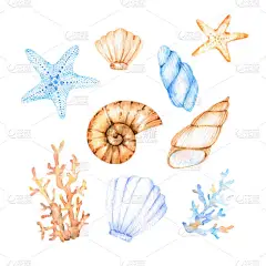 海洋主题上可爱的水彩元素- -不同的贝壳、海星、不同形状的米黄色和蓝色珊瑚，用于设计、装饰、贴纸、装