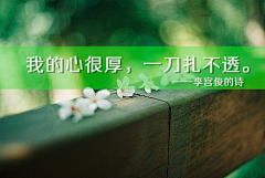 上海蘑菇采集到易碎琉璃