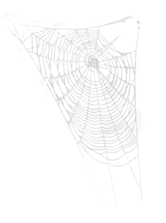 安瑜1采集到插画风格