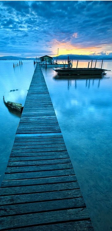 惊人的捕捉：蓝码头，澳大利亚